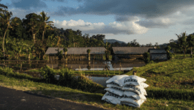 ’هرمز‘ يهدد الأمن الغذائي.. والزراعة البيئية المنقذ