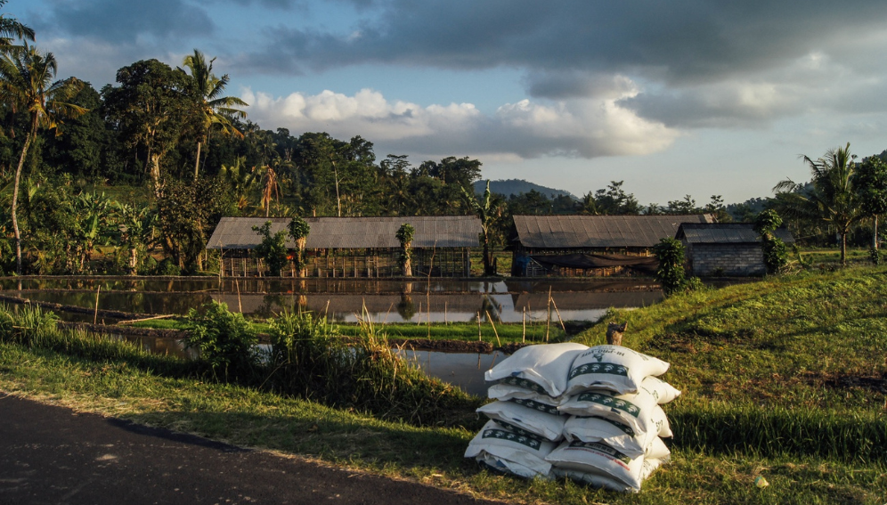 Accelerating the shift to agroecology is vital to building resilience in low-income countries amid growing food insecurity fueled by geopolitical tensions such as the Middle East crisis, experts say.