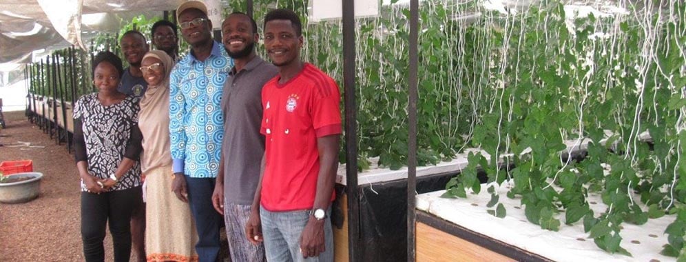PS Nutraceuticals uses aeroponics farming, which involves suspending the roots of crops in air and applying mists to help them grow. Copyright - Farmforte