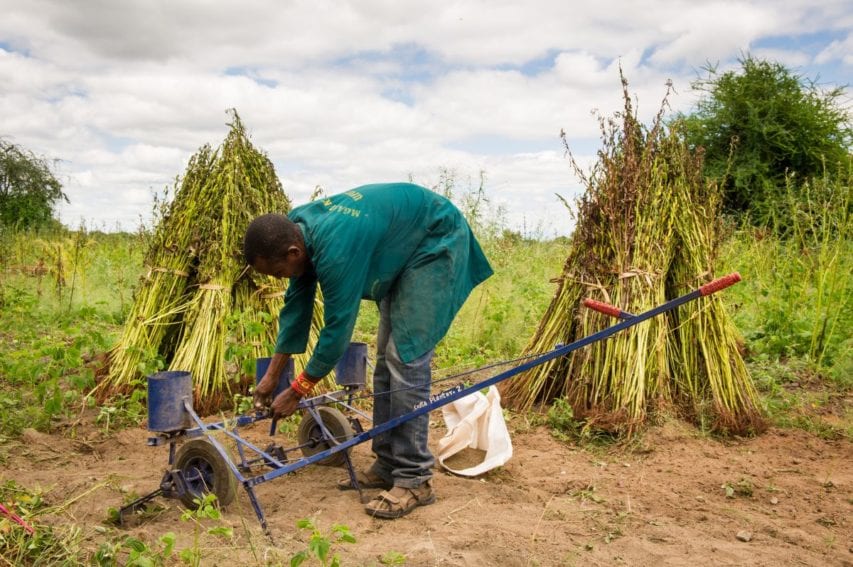 Constantine Martin, a farmer from Babati District in northern Tanzania pouring seeds into hand-pushed planting machine dubbed “coasta planter” he invented that enables easy sesame seeds planting
