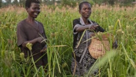 New programme to boost incomes of smallholders launched