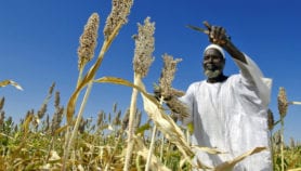 Africa and EU team up on food and farming research