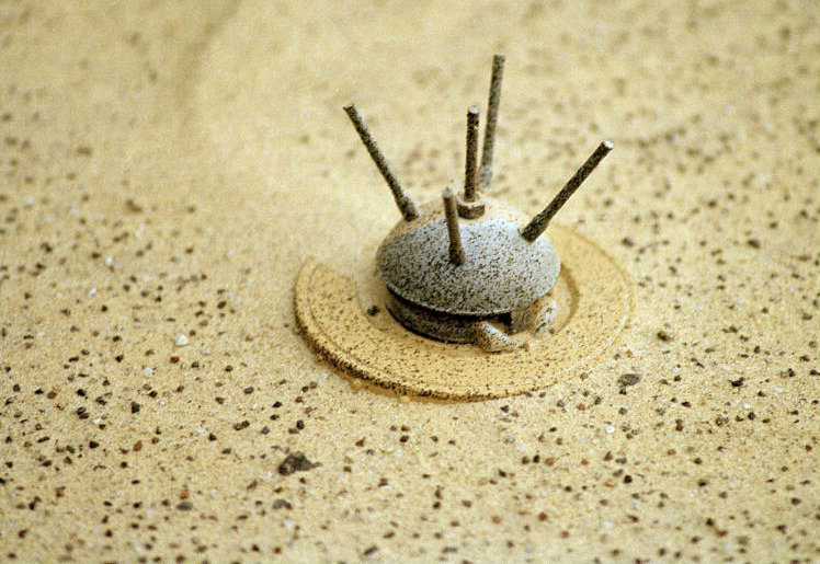 Landmine_Flickr_UN Photo_John Isaac