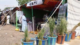 Experts select new rice varieties for African farmers