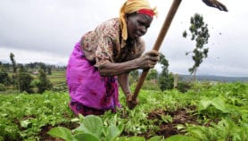 Gender-friendly tech could empower women in agriculture