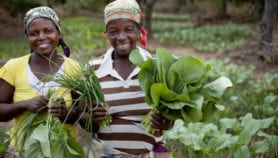 Promoting local vegetables R&D to benefit smallholders