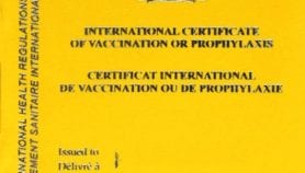 Yellow card: The colour of corruption
