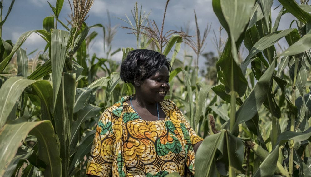 A farmer in her maize plot in Bidi Bidi refugee camp
