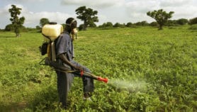 Increased pesticides use in agriculture
