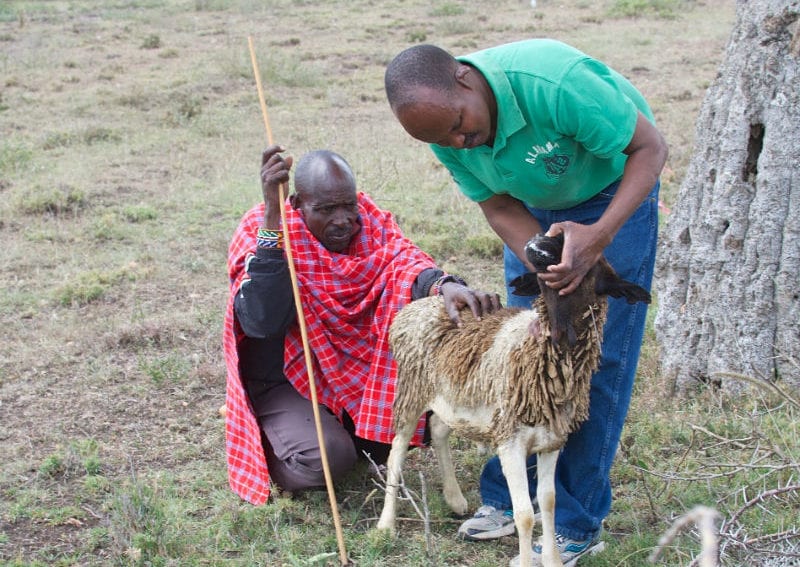 Animal health workers key stakeholders in the world food system