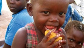 Sweet potato project improves nutrition and incomes