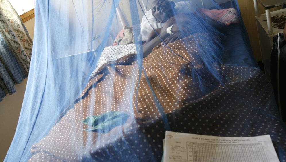 Bed nets combat the spread of malaria