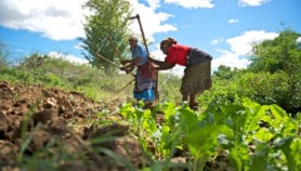 Making agriculture attractive to the youth in Africa