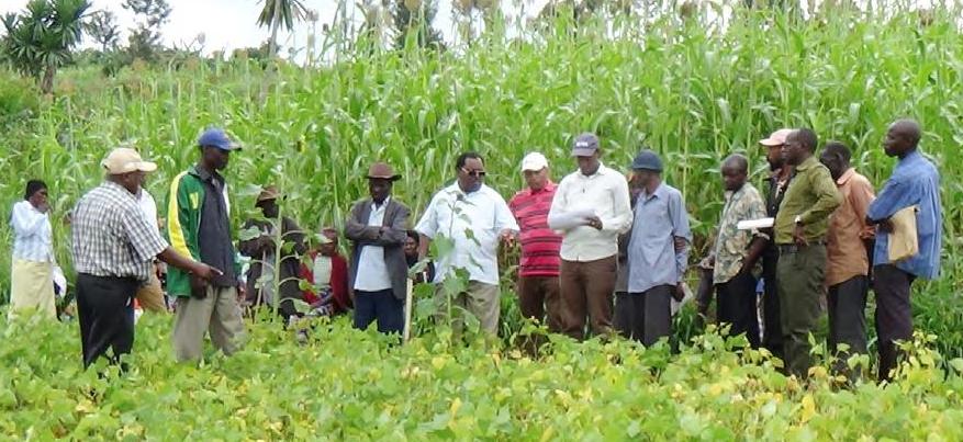 engaging stakeholders to tackle agricultural issues