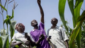 Podcasts and ICT transforming farming in Zimbabwe