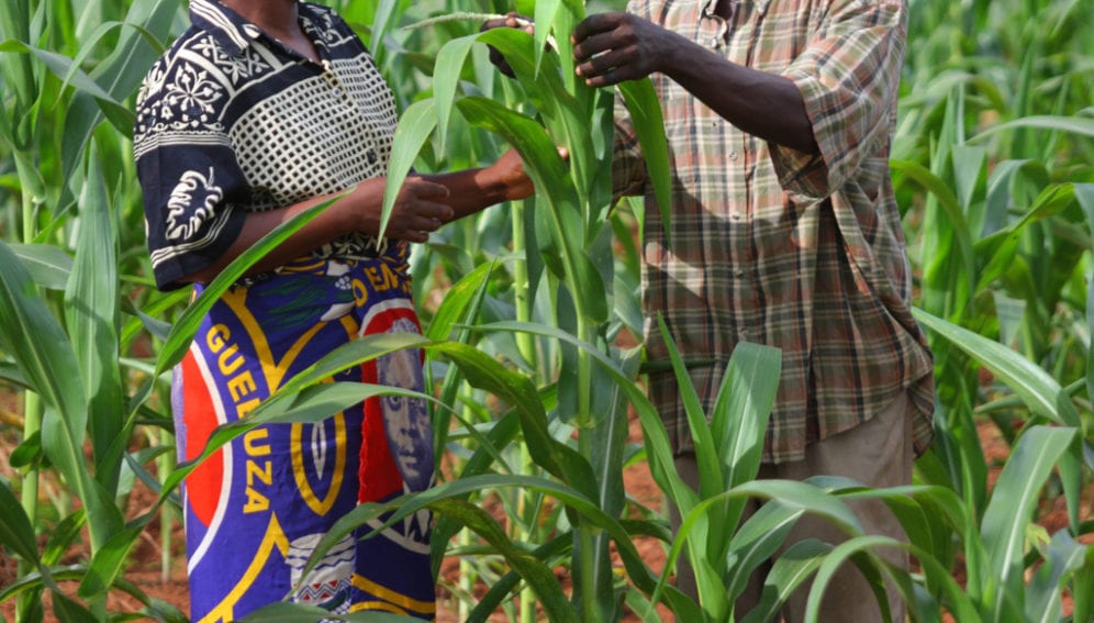 Farmers Bernardi Nyakacabwe and his wife Elizabeth Chimongwe