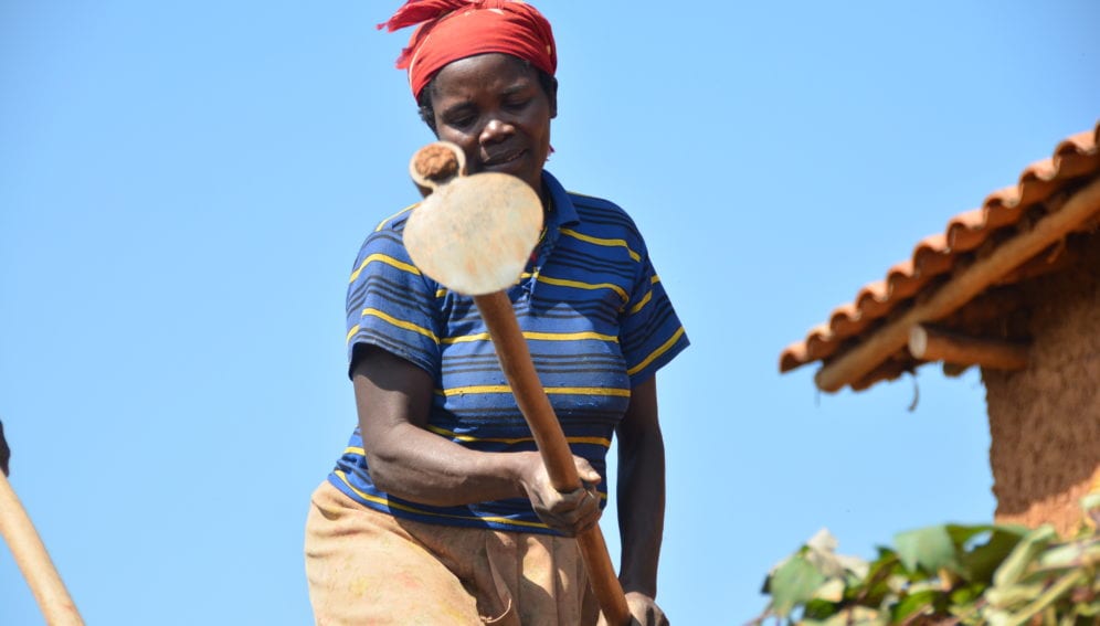 Farming in Rwanda's Ngororero district