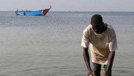 Modern strains put Lake Victoria in critical condition