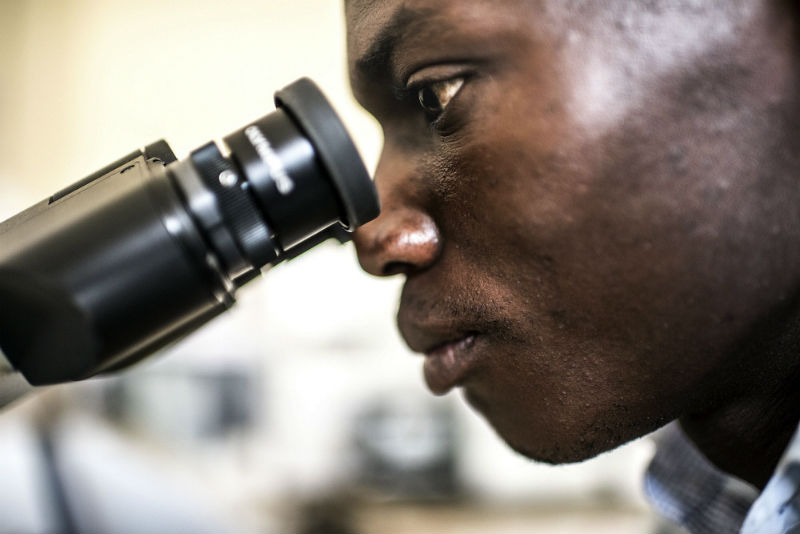 Laboratory technician Denis Bongoyinge examines a blood sample