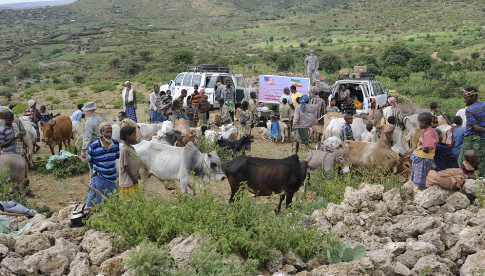 Locals gather with their livestock