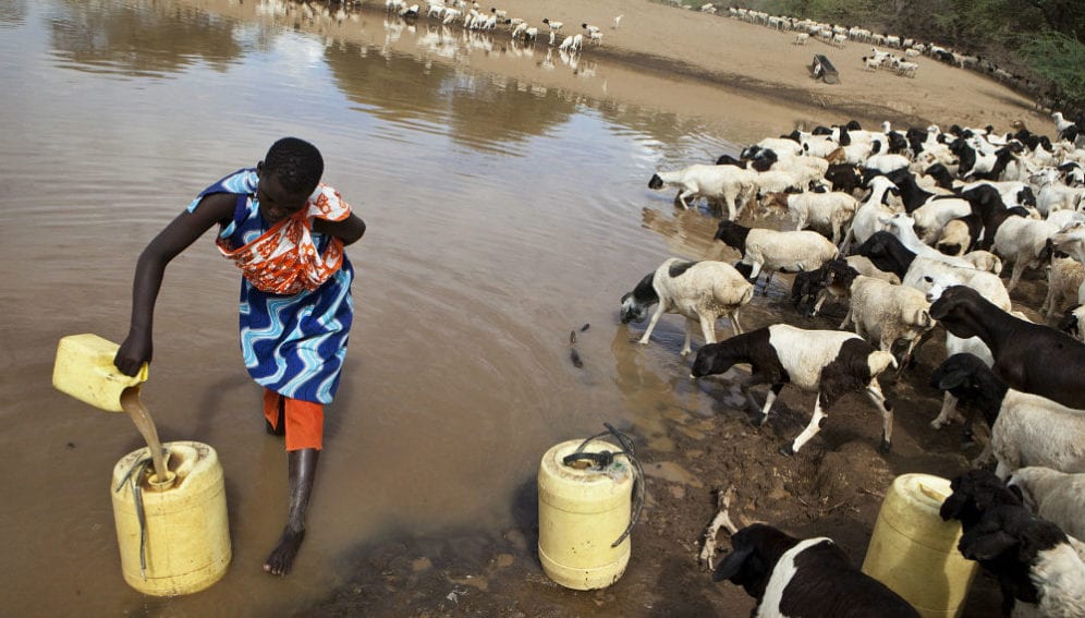 Maasai woman is collecting water from a check dam