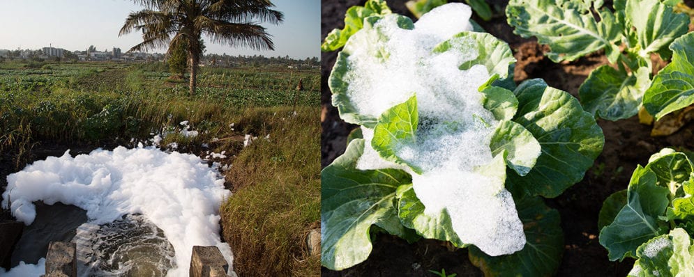 Foam from untreated sewage that has been used to irrigate crops in Zona Verde. Recycling untreated waste helps conserve water, but it can transmit parasites such as hookworm and diseases such as typhoid to farmers and customers
