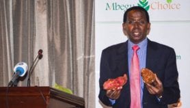 New online tool for seed selection in Kenya