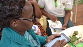 Kenya trials mobile app that helps farmers tackle pests