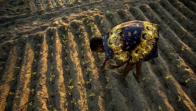 How to help transform farmers’ yields, income