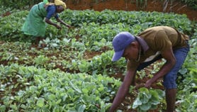 Geospatial tech could boost Africa’s agricultural sector