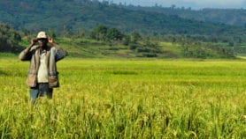 Burundi’s agriculture sector taps into Belgian funds