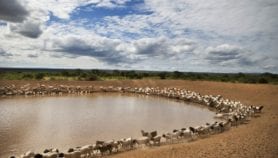 Africa feels the negative impacts of climate change