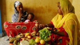 Ensuring food security for the future