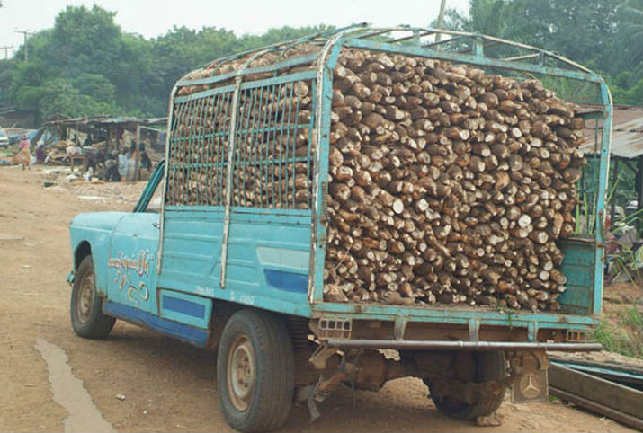 Truck loaded with cassava roots