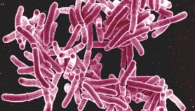 Tuberculosis: Facts & figures