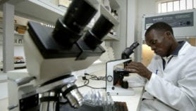 Africa Analysis: Benefits of the restarted R&D alliance