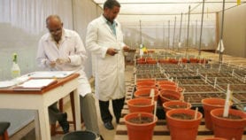 Project to conserve indigenous crops launched in Kenya