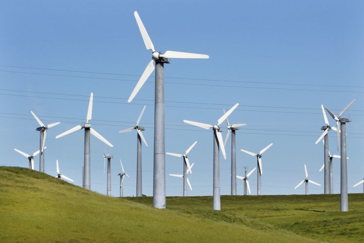 wind farm in Central California
