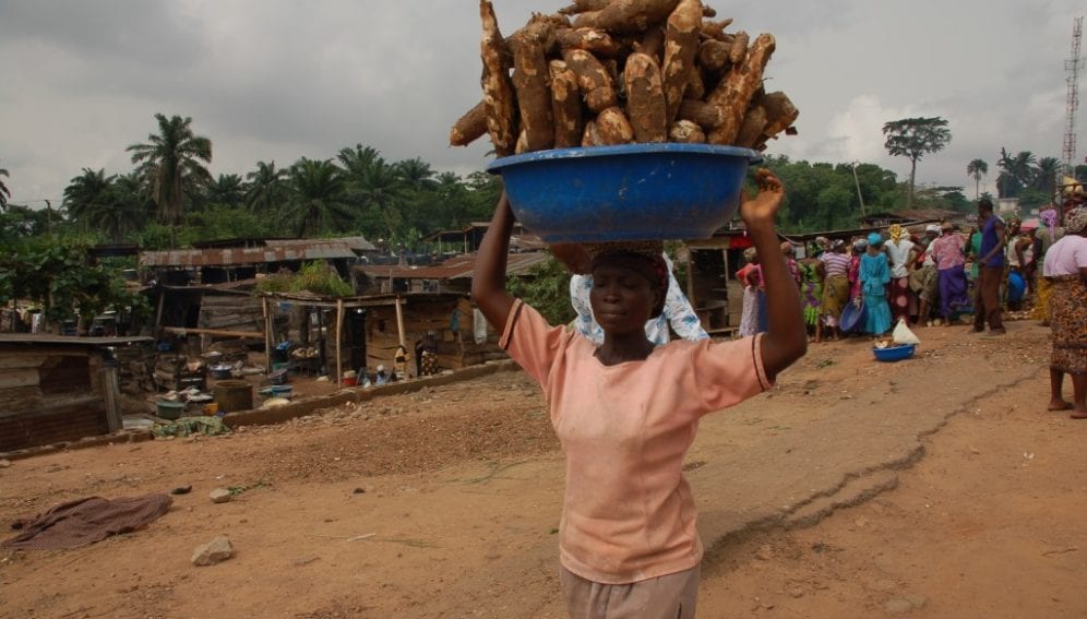 woman-carrying-cassava-jpg