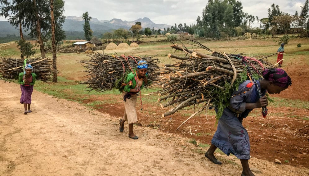Women carrying firewood to sell