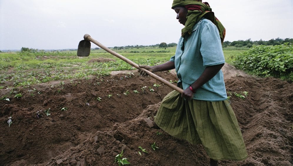 A woman works on her farm