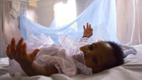 Augmented bed nets cut malaria cases by 25 per cent