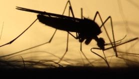 Plan to wipe out malaria comes with hefty price tag
