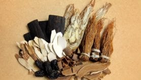 Africa pushes for COVID-19 traditional medicine R&D