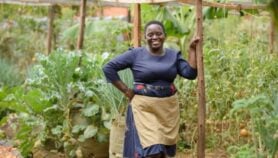 Q&A: From tiny island farm to public health professor