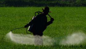 Pesticide policy failings in Africa a risk to health