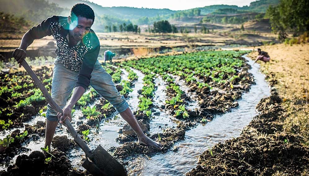 A farmer irrigating his garden near Gonder, Ethiopia. New irrigation technologies can reduce smallholder farmers' dependency on rainfall in a changing climate. Copyright: Niels Van Iperen (CC BY-SA 4.0)