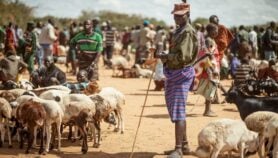 Q&A: The eye doctor restoring sight to nomadic herders