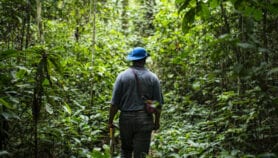 Awakening Africa’s underground forests