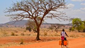 Climate adaptation ‘critical’ for Africa